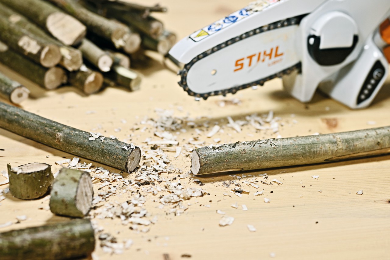 Branches pour décoration d’intérieure coupées avec une scie de jardin à batterie GTA 26 STIHL