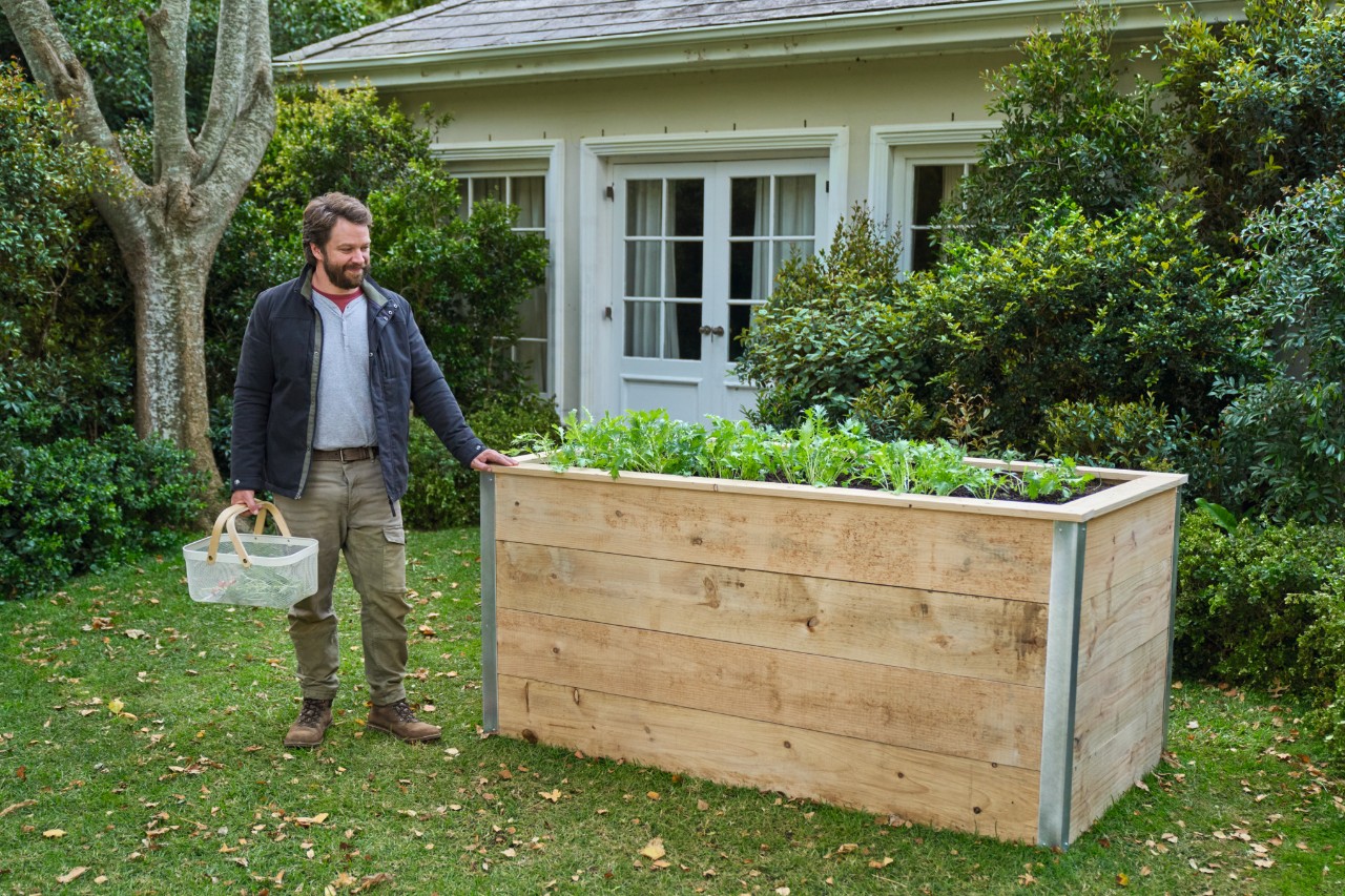 un homme plante un arbre dans un jardin 