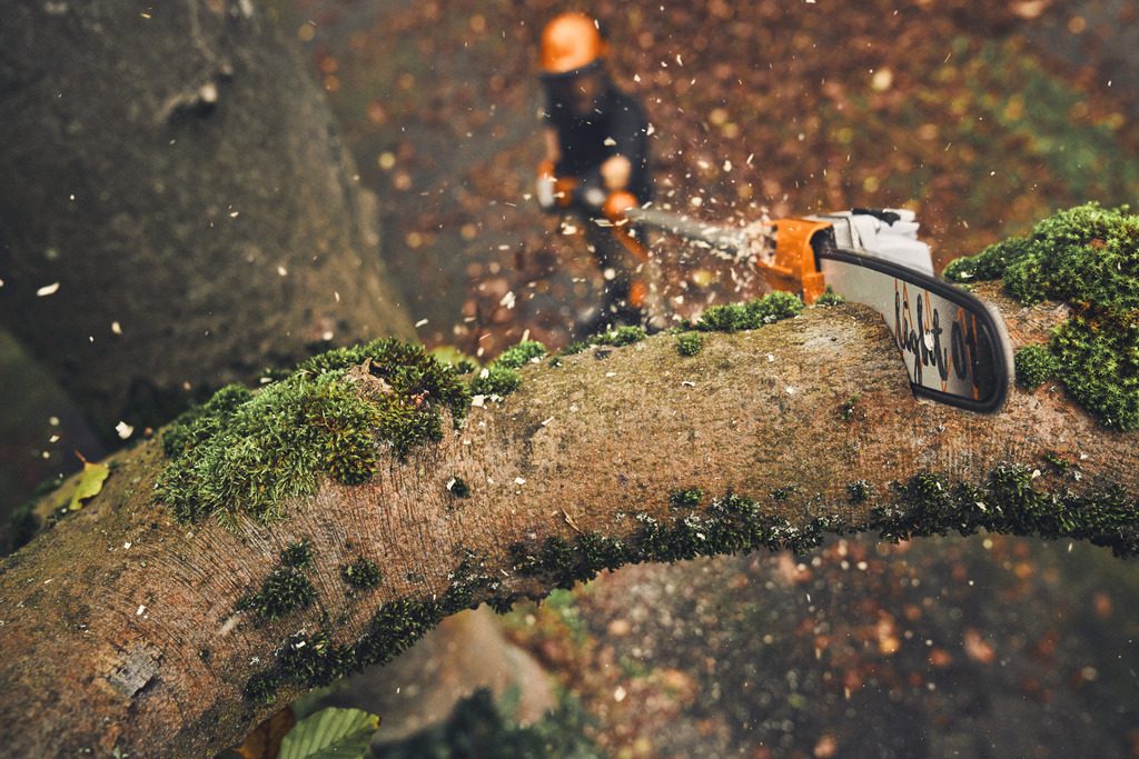 Construction et paysagisme